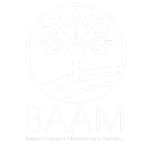 Baam_web